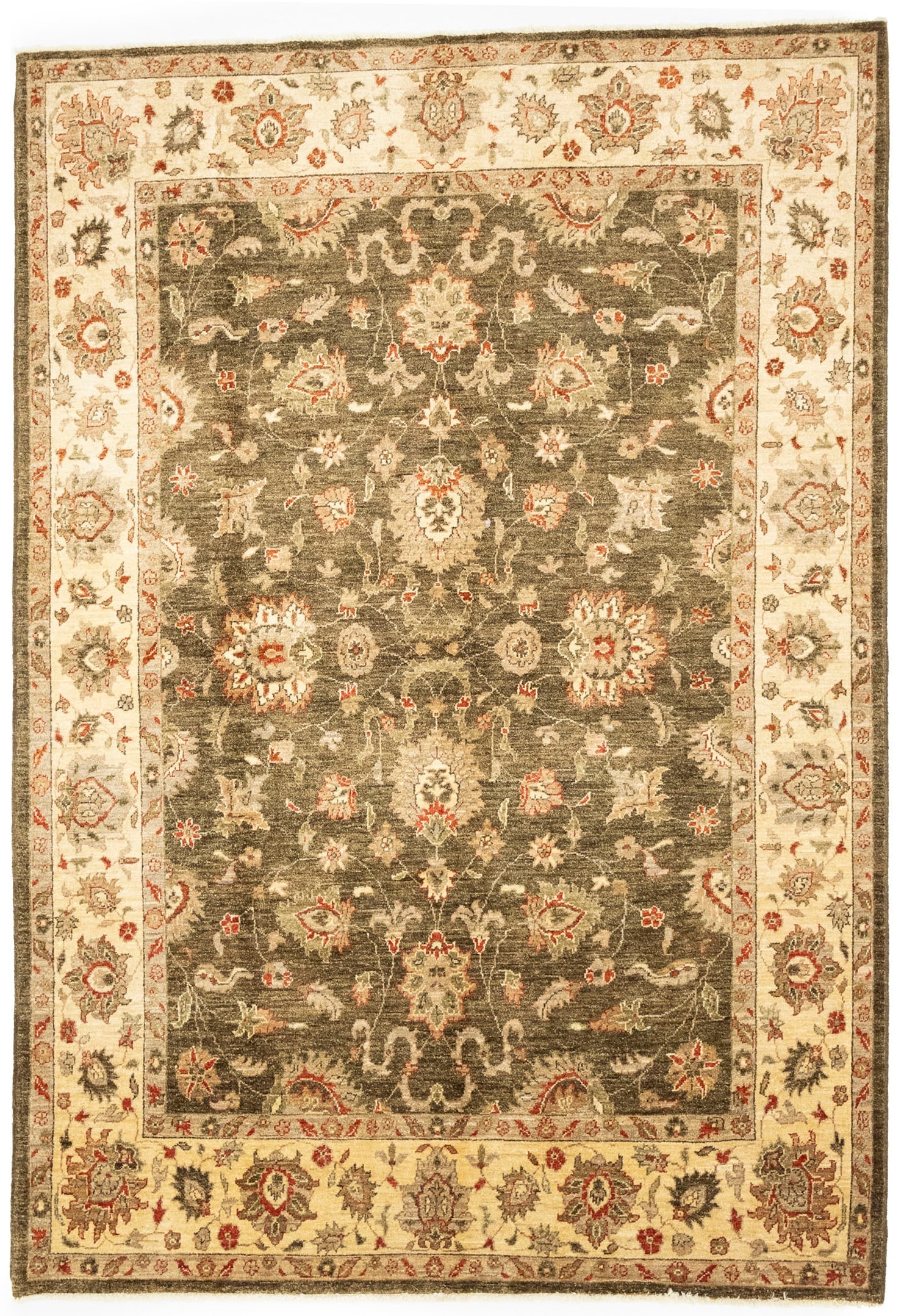Brown Floral Peshawar 6X9 Pakistan Oriental Rug: Title: Brown Floral Peshawar 6X9 Pakistan Oriental Rug Description:Hand Knotted 6X9 brown oriental rug made with vegetable dyes (fine wool pile and cotton fou