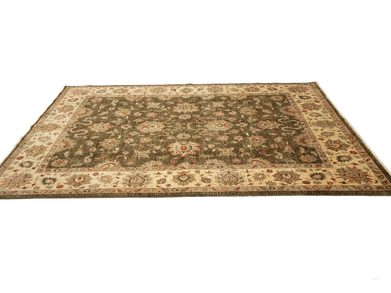 Brown Floral Peshawar 6X9 Pakistan Oriental Rug - 4