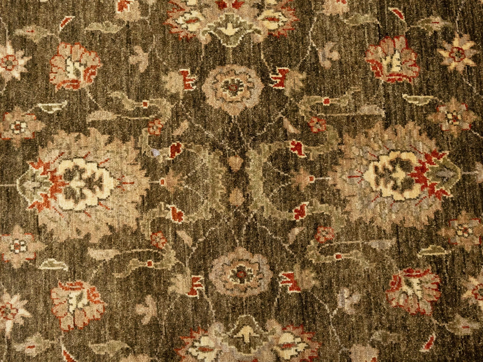 Brown Floral Peshawar 6X9 Pakistan Oriental Rug - 5