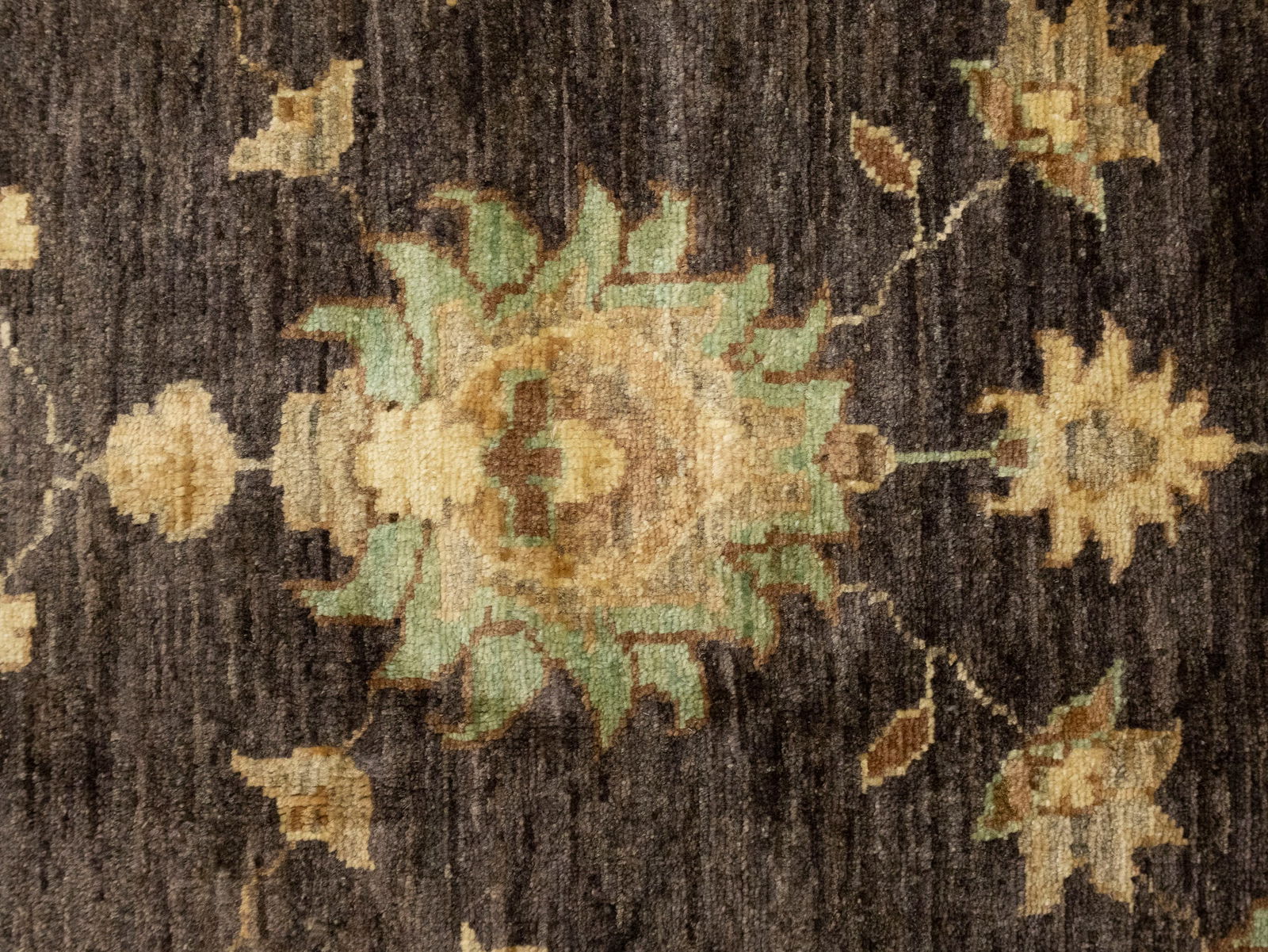 Dark Brown Floral Peshawar 9X11 Pakistan Oriental Rug - 12