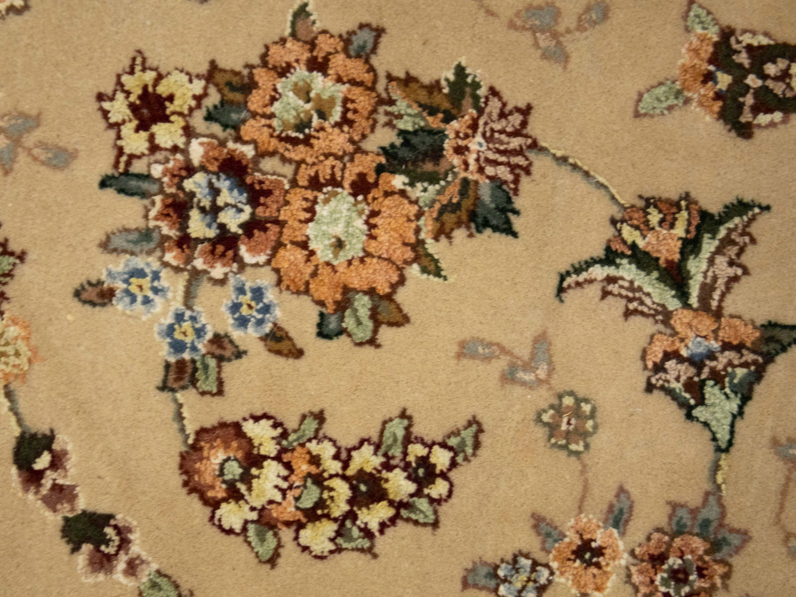 Cream Floral Chinese Style 4X6 Modern Oriental Rug - 11