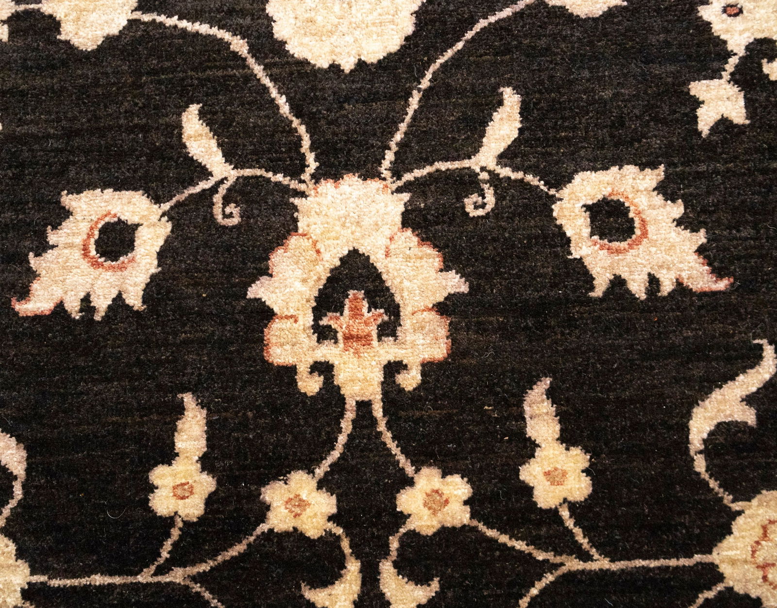 Black Floral Peshawar 9X12 Pakistan Oriental Rug - 10