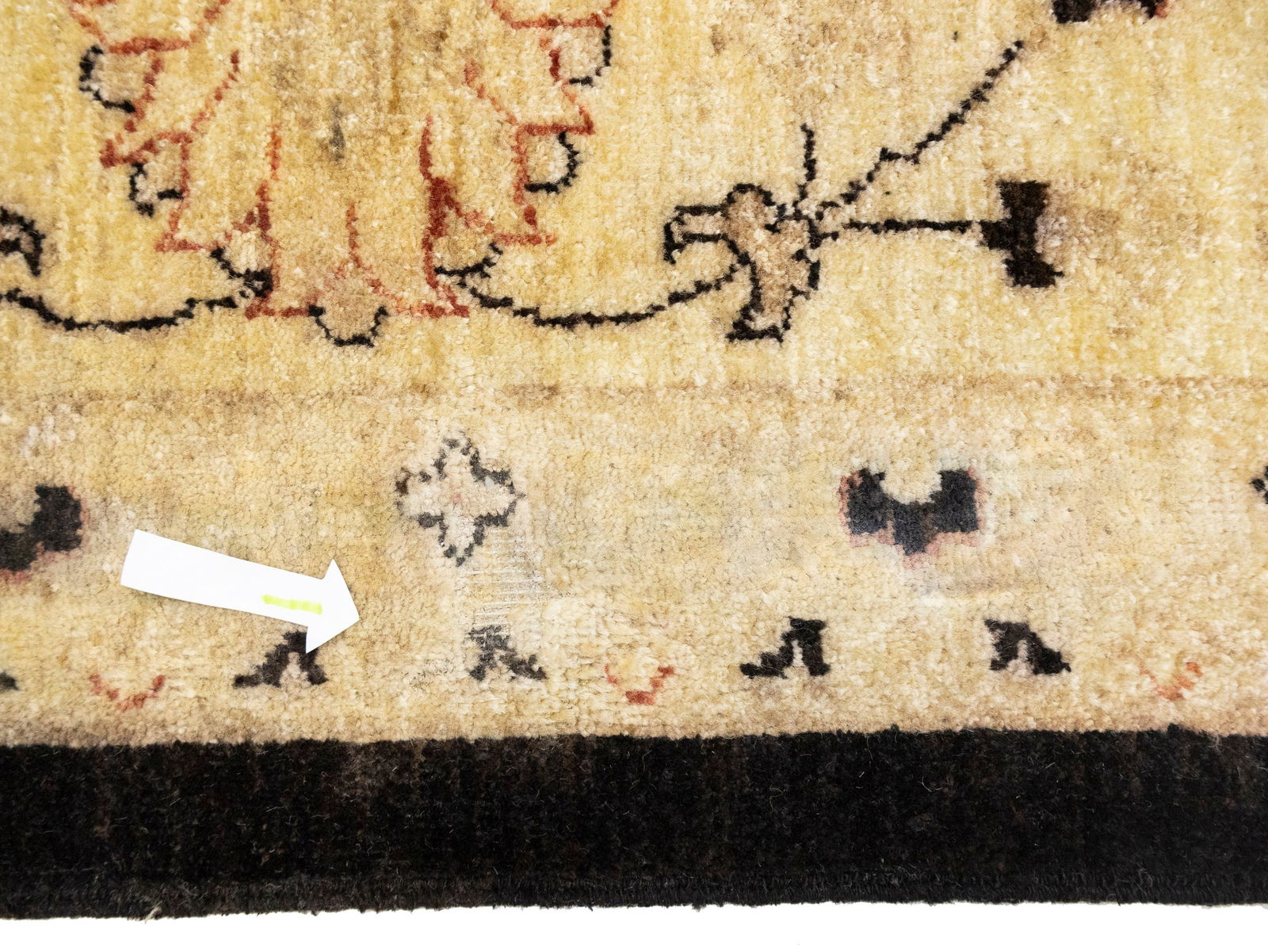 Black Floral Peshawar 9X12 Pakistan Oriental Rug - 11