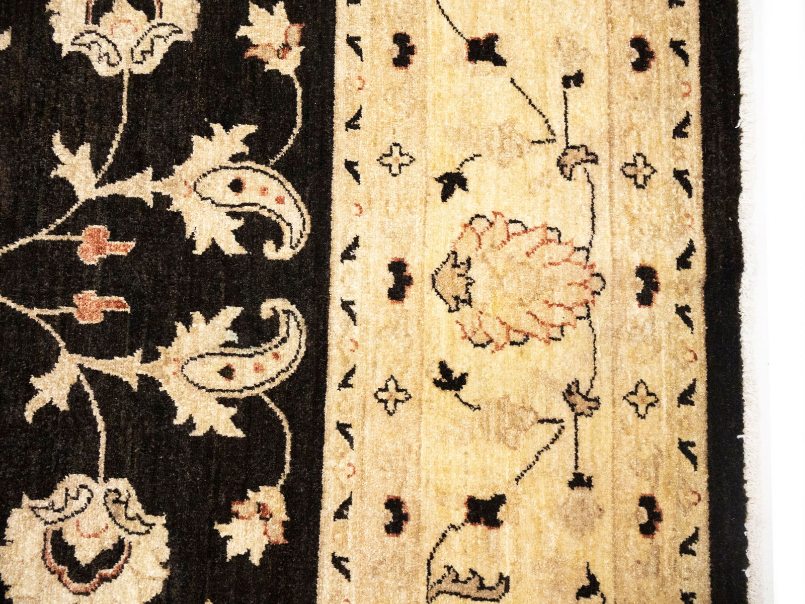 Black Floral Peshawar 9X12 Pakistan Oriental Rug - 7