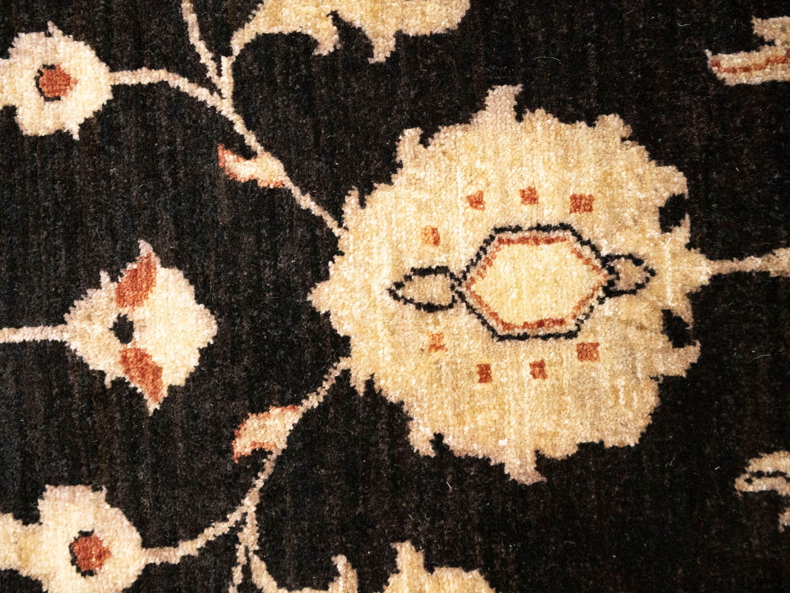 Black Floral Peshawar 9X12 Pakistan Oriental Rug - 9