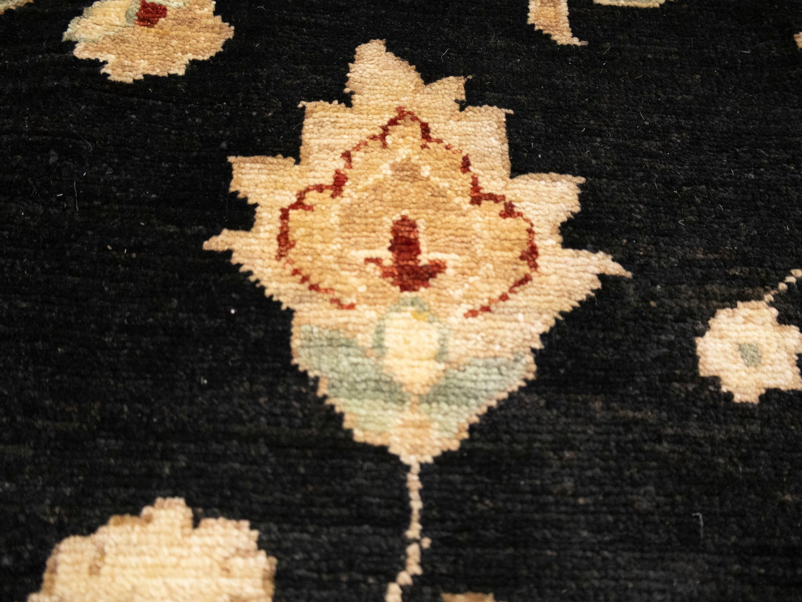 Black Floral Peshawar 9X12 Pakistan Oriental Rug - 13