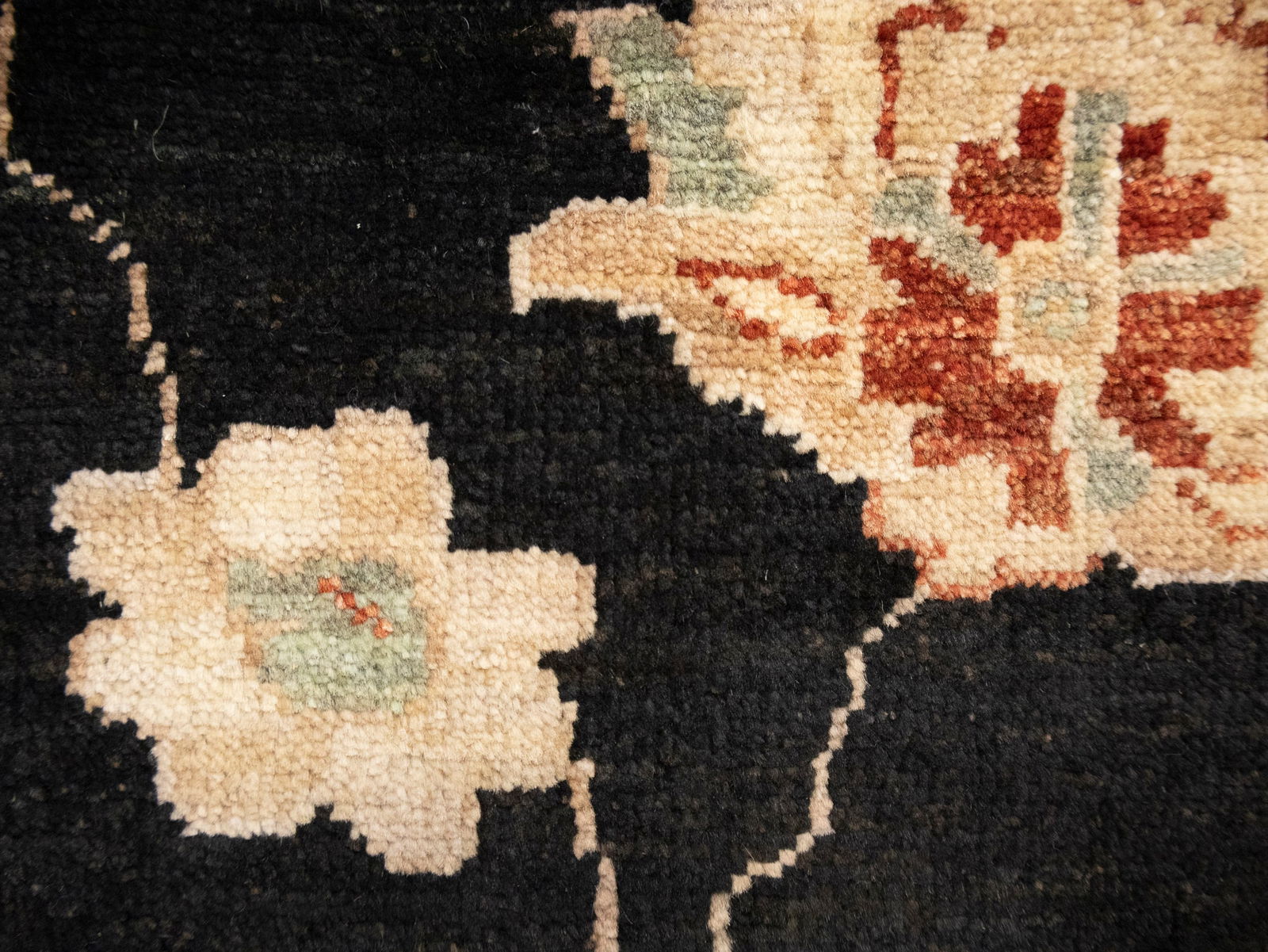 Black Floral Peshawar 9X12 Pakistan Oriental Rug - 14