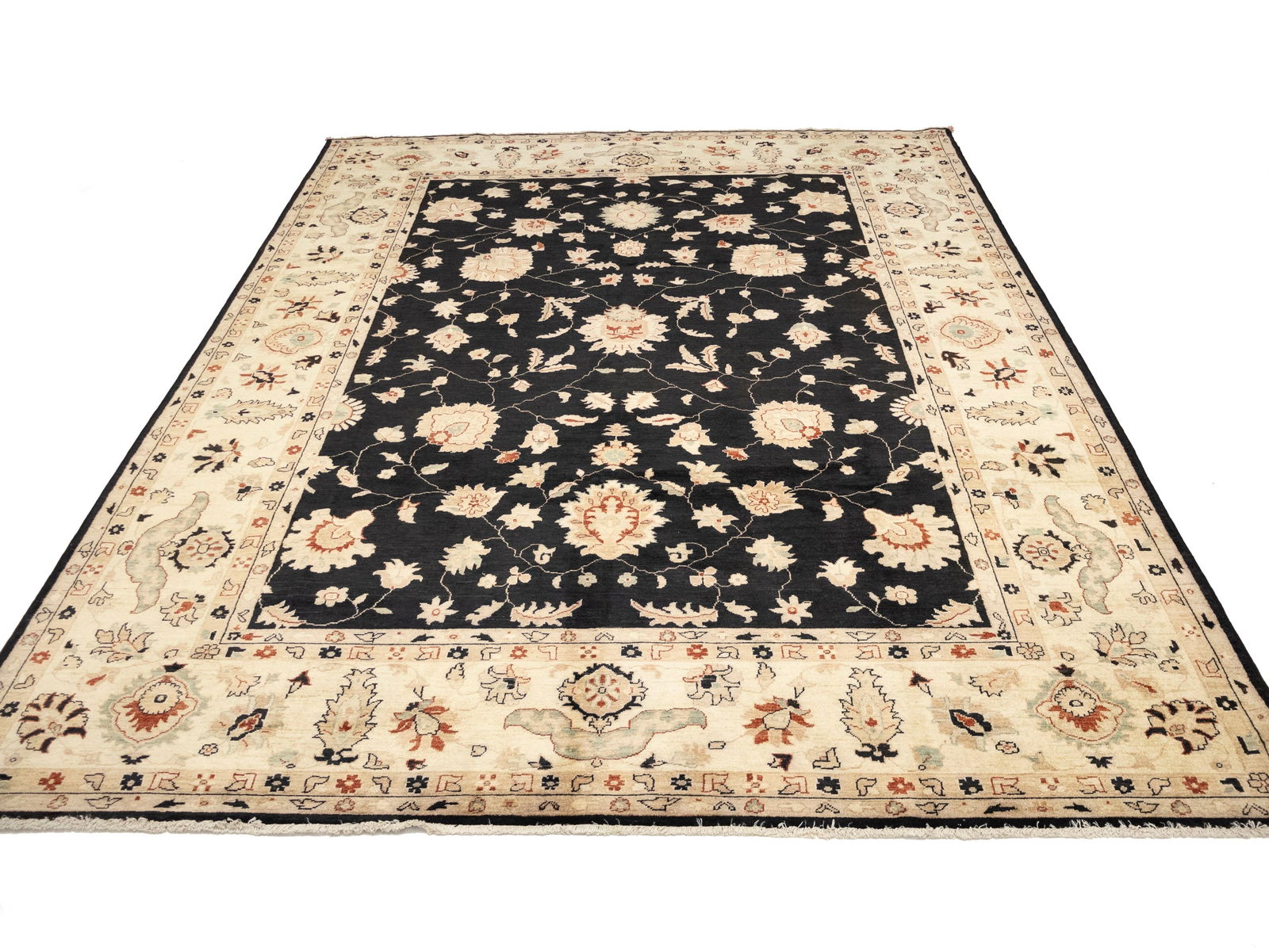 Black Floral Peshawar 9X12 Pakistan Oriental Rug - 5