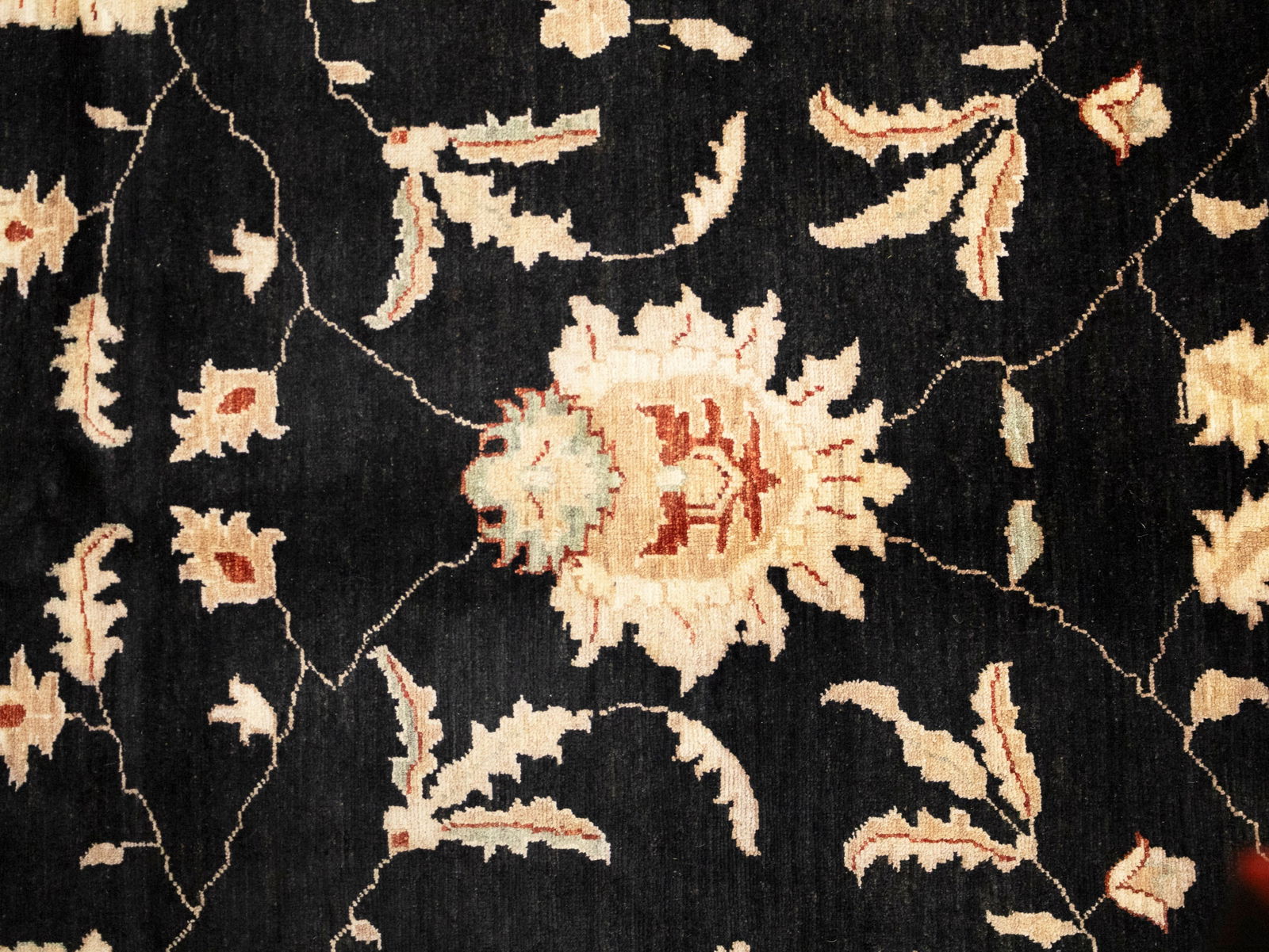 Black Floral Peshawar 9X12 Pakistan Oriental Rug - 7