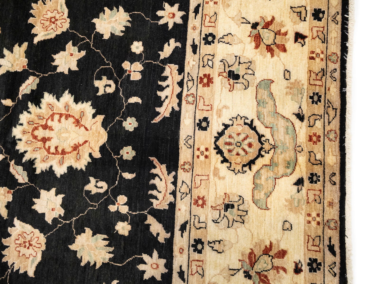 Black Floral Peshawar 9X12 Pakistan Oriental Rug - 9