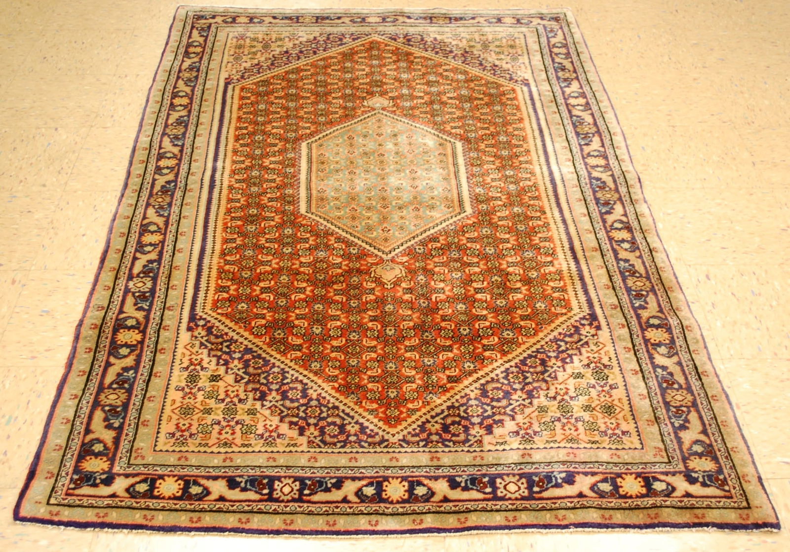 Persian BiJAR RUG 4.5x6.10 (1 of 11)