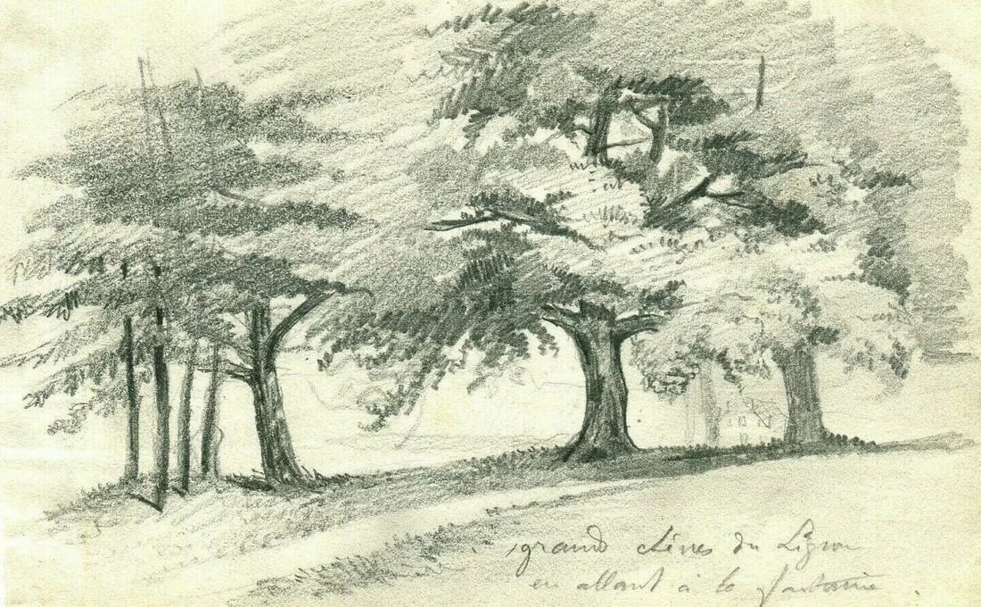 Antique Pencil Drawing Grand Oak Tree of Lignon 19th Century Nature Study: Title: Antique Pencil Drawing Grand Oak Tree of Lignon 19th Century Nature Study Description: Drawing of Grand Oak Tree of Lignon Striking 19th-century pencil drawing of the famed Grand Oak of