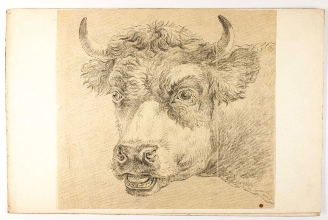 Antique Pencil Drawing Original 19th century Animal, Cows - 3