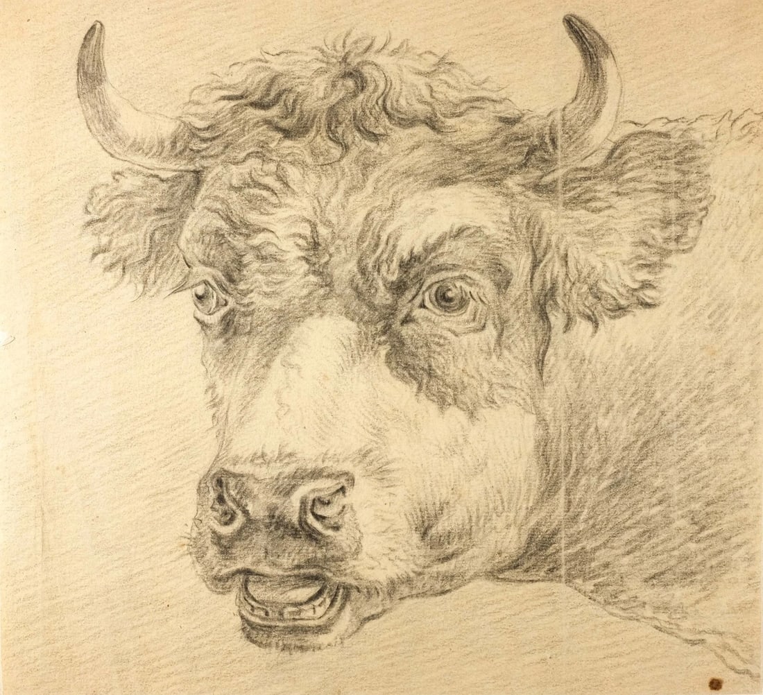 Antique Pencil Drawing Original 19th century Animal, Cows - 6