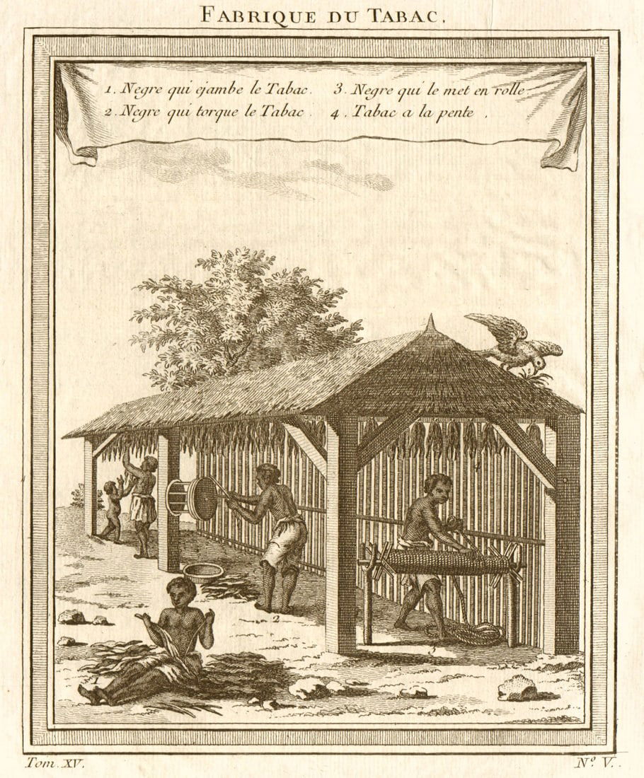 Fabrique du Tabac'. Tobacco curing factory. Caribbean West Indies. Priming 1759: Title: Fabrique du Tabac'. Tobacco curing factory. Caribbean West Indies. Priming 1759 Description: Fabrique du Tabac 1. Nègre qui ejambe le tabac 2. Nègre qui torque le tabac 3. Nègre