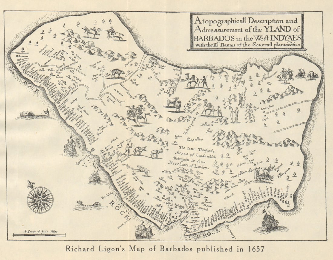 YLAND OF BARBADOS. Plantations. After Ligon 1657. West Indies 1931 old map: Title: "YLAND OF BARBADOS". Plantations. After Ligon 1657. West Indies 1931 old map Description: Richard Ligon's map of Barbados published in 1657'. Sifton, Praed & Co. Ltd, St. James's St. London S.W