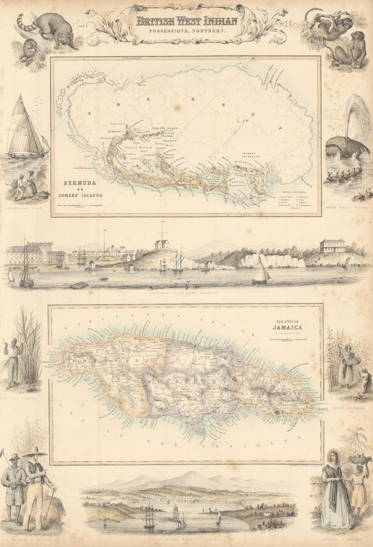 British West Indian Possessions. Bermuda or Somers' Island. Jamaica c1863 map (1 of 1)