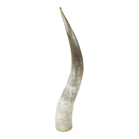 1990s Lucite Mounted Steer Horn