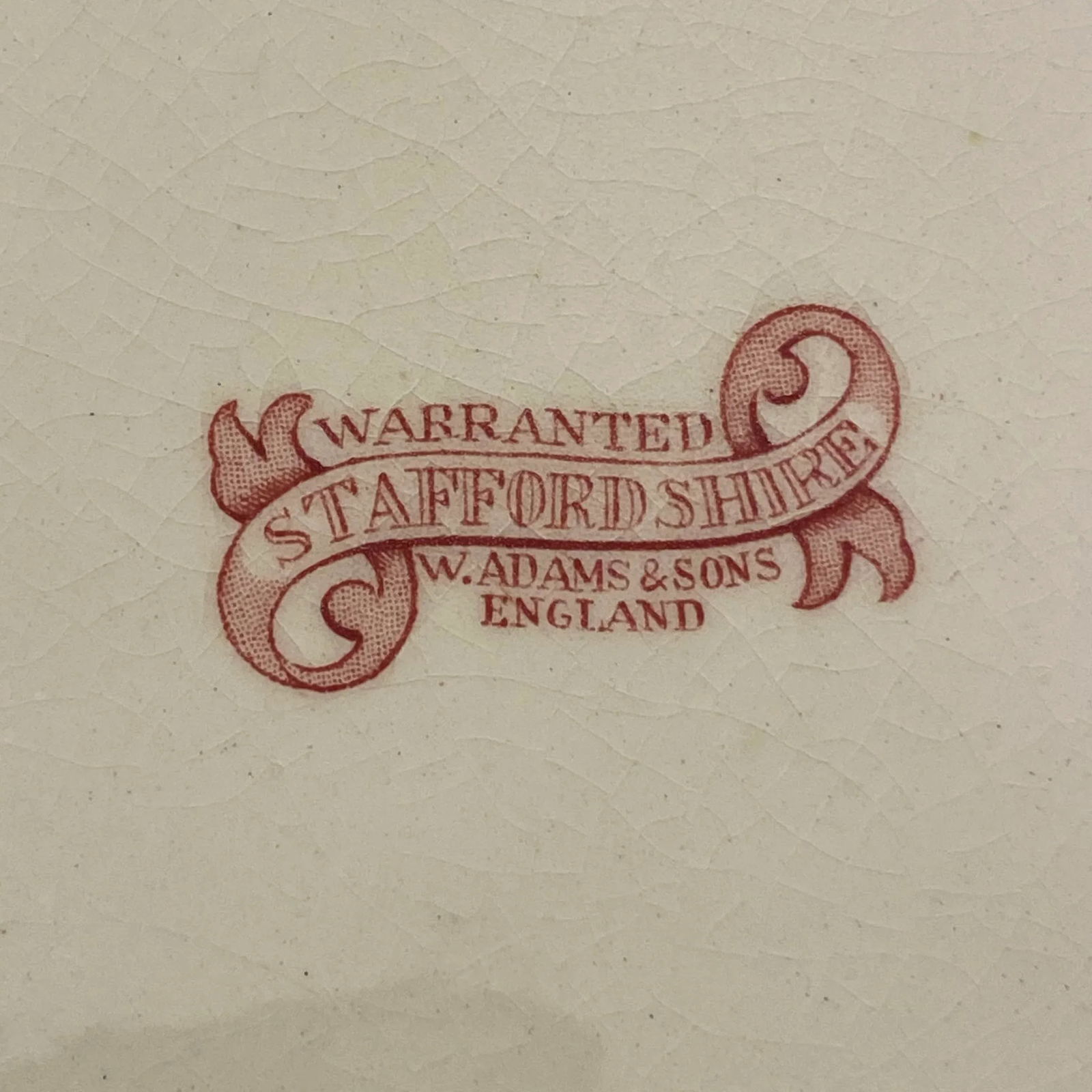 1890s Antique William Adams & Sons Red Willow Serving Platter - 7