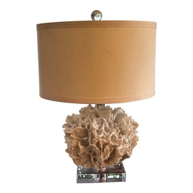 Contemporary Ribbon Coral and Lucite Table Lamp
