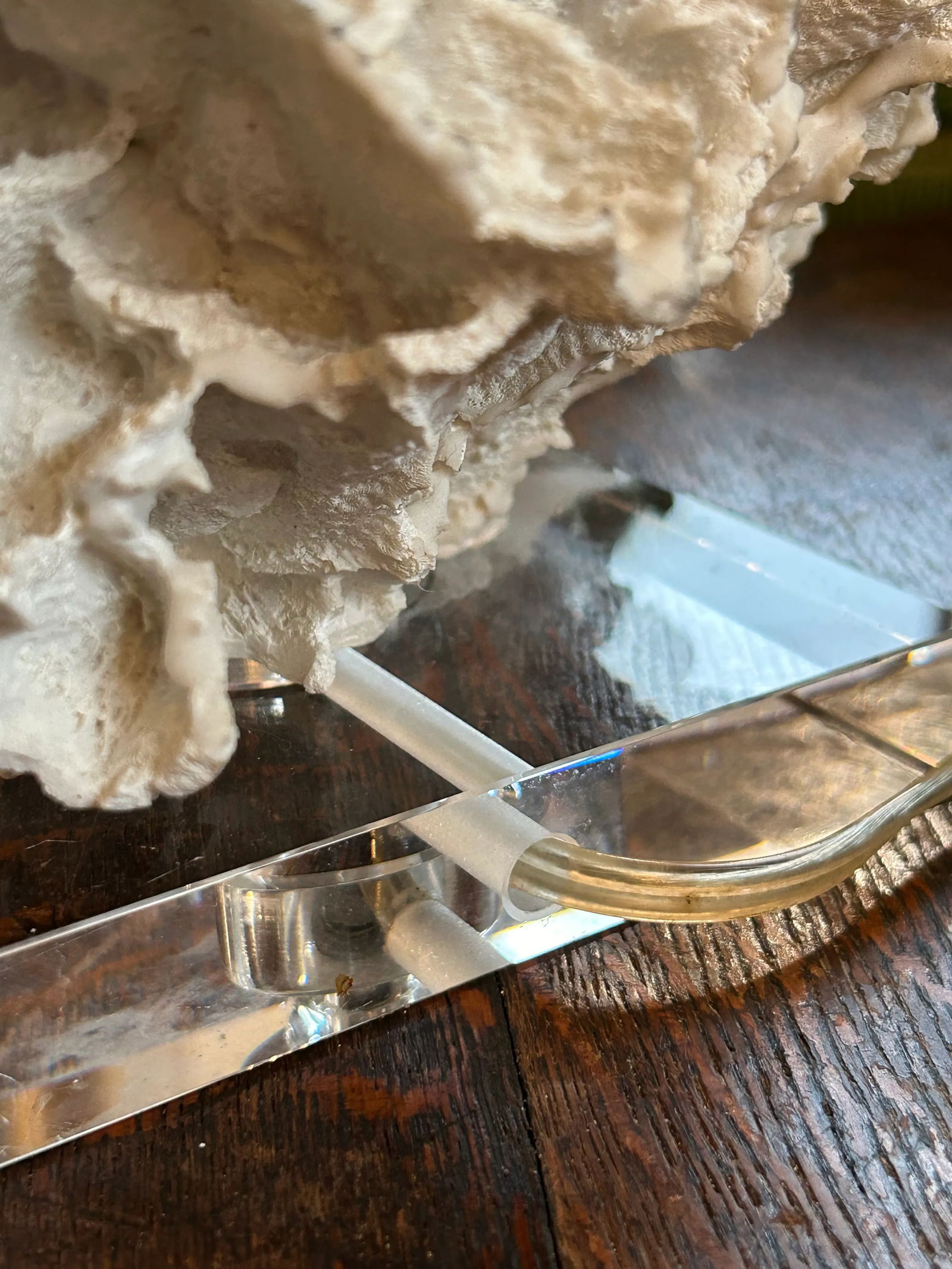 Contemporary Ribbon Coral and Lucite Table Lamp - 6