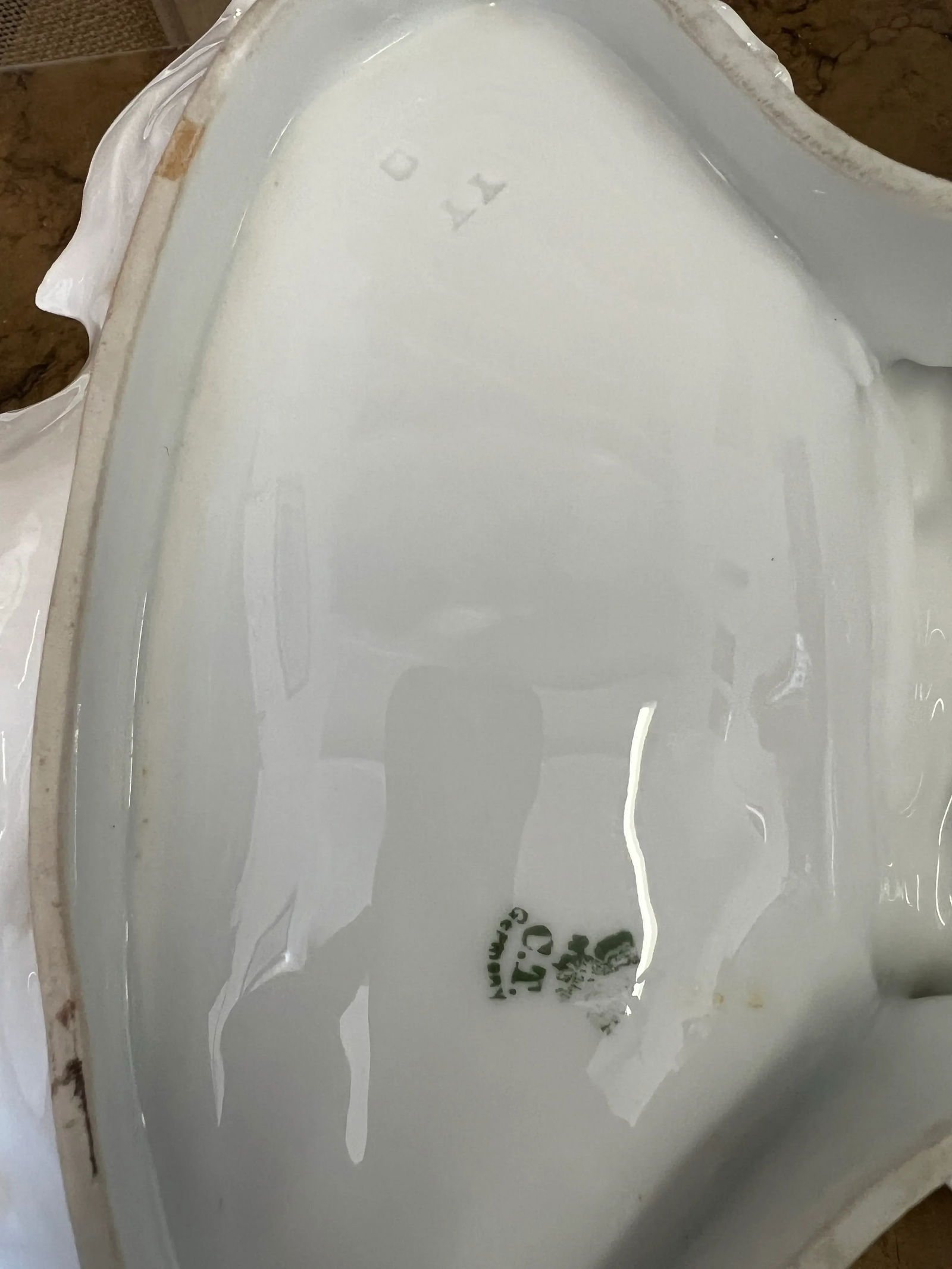 Late 19th Century Carl Tielsch Ct German Porcelain Double Sided Floral Dish With Handle - 6