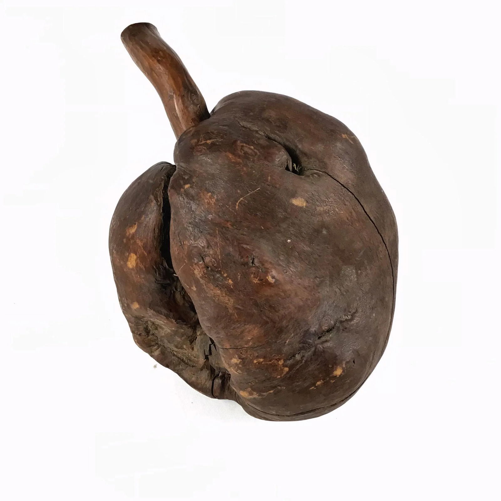 Vintage African Blackwood Root Bulb - 2