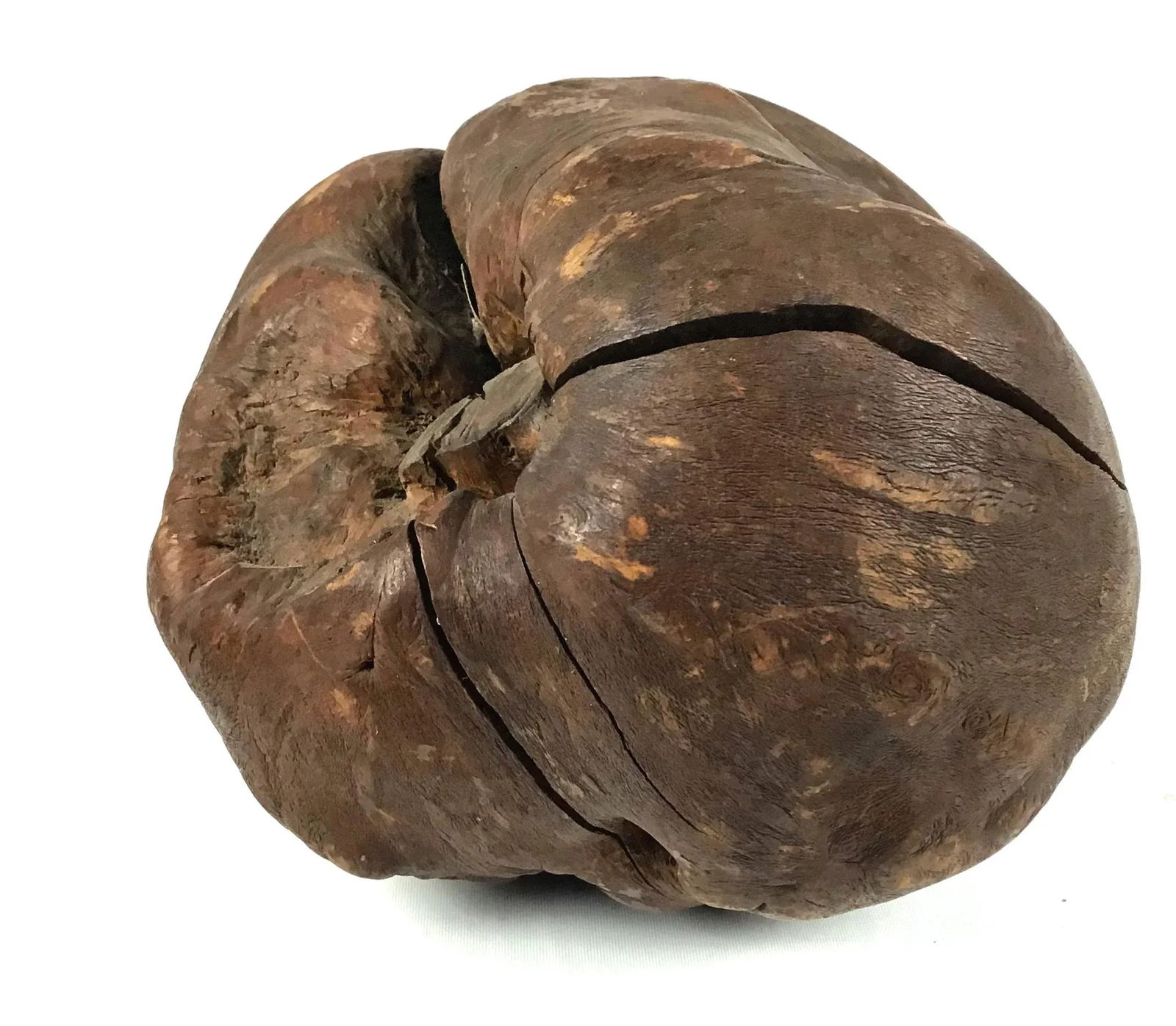 Vintage African Blackwood Root Bulb - 7
