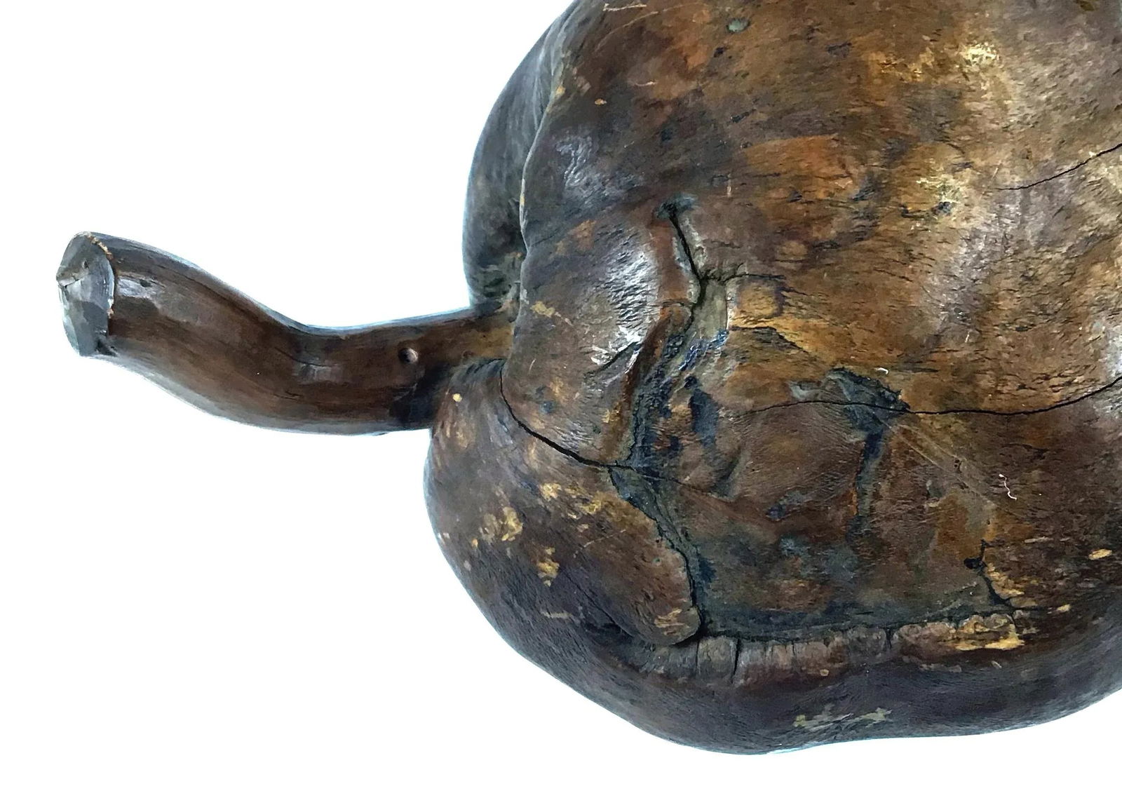 Vintage African Blackwood Root Bulb - 8