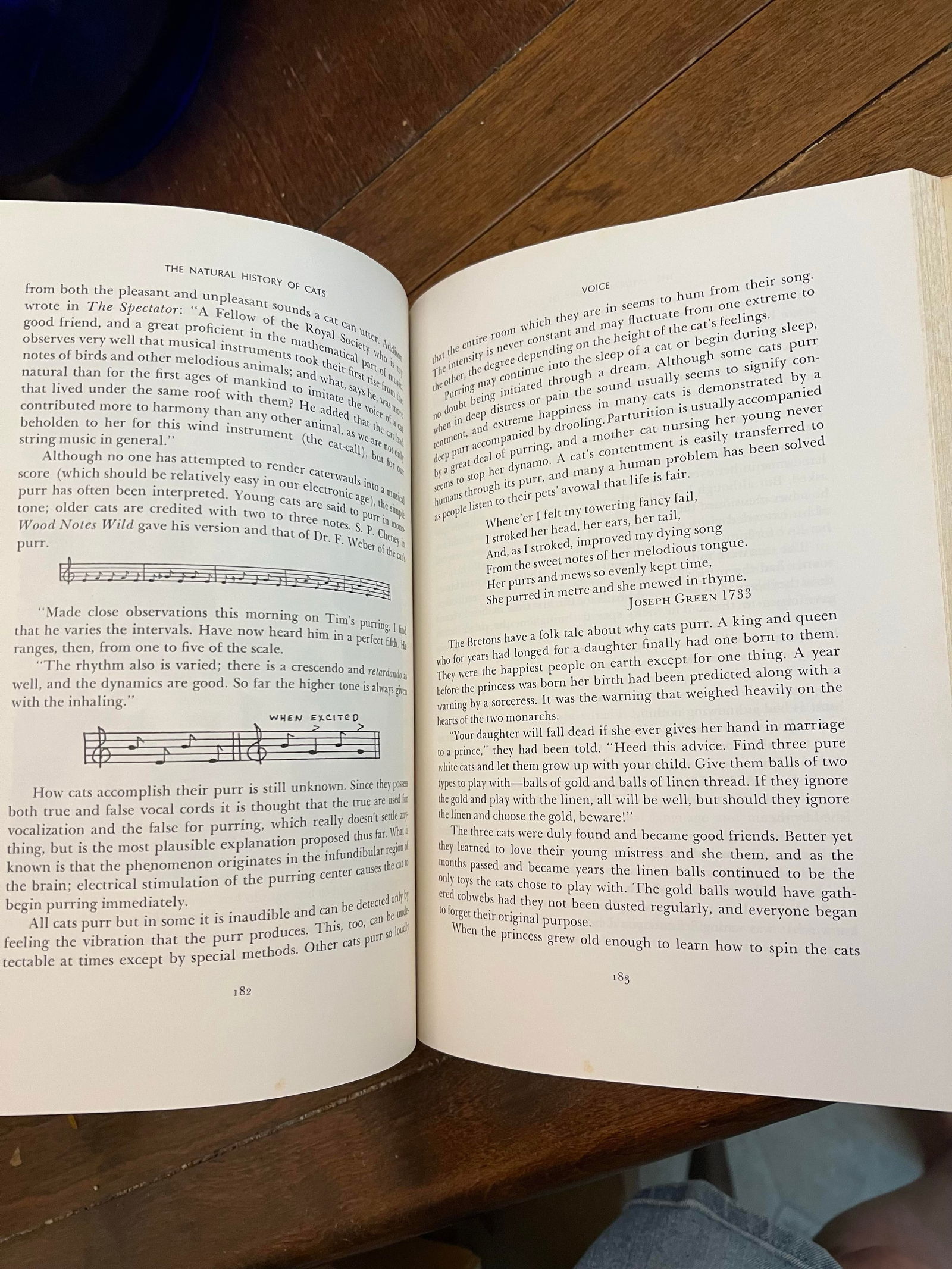 1970s Coffee Table Book "The Natural History of Cats" - 7