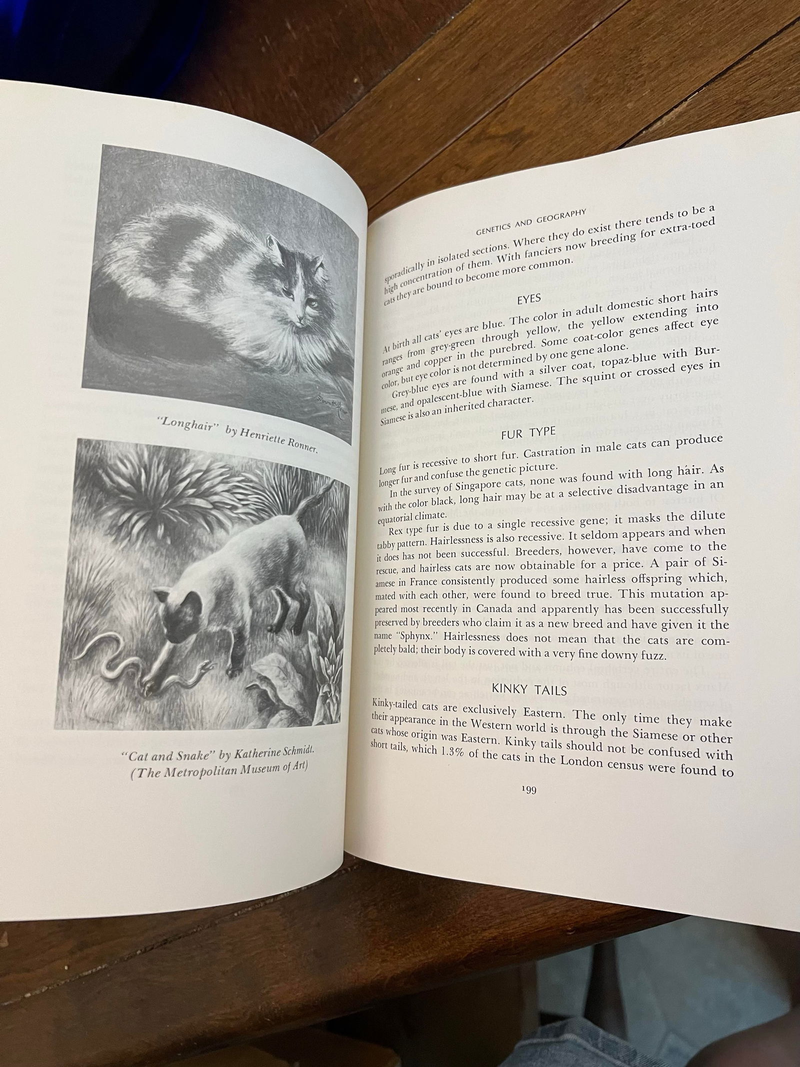 1970s Coffee Table Book "The Natural History of Cats" - 8