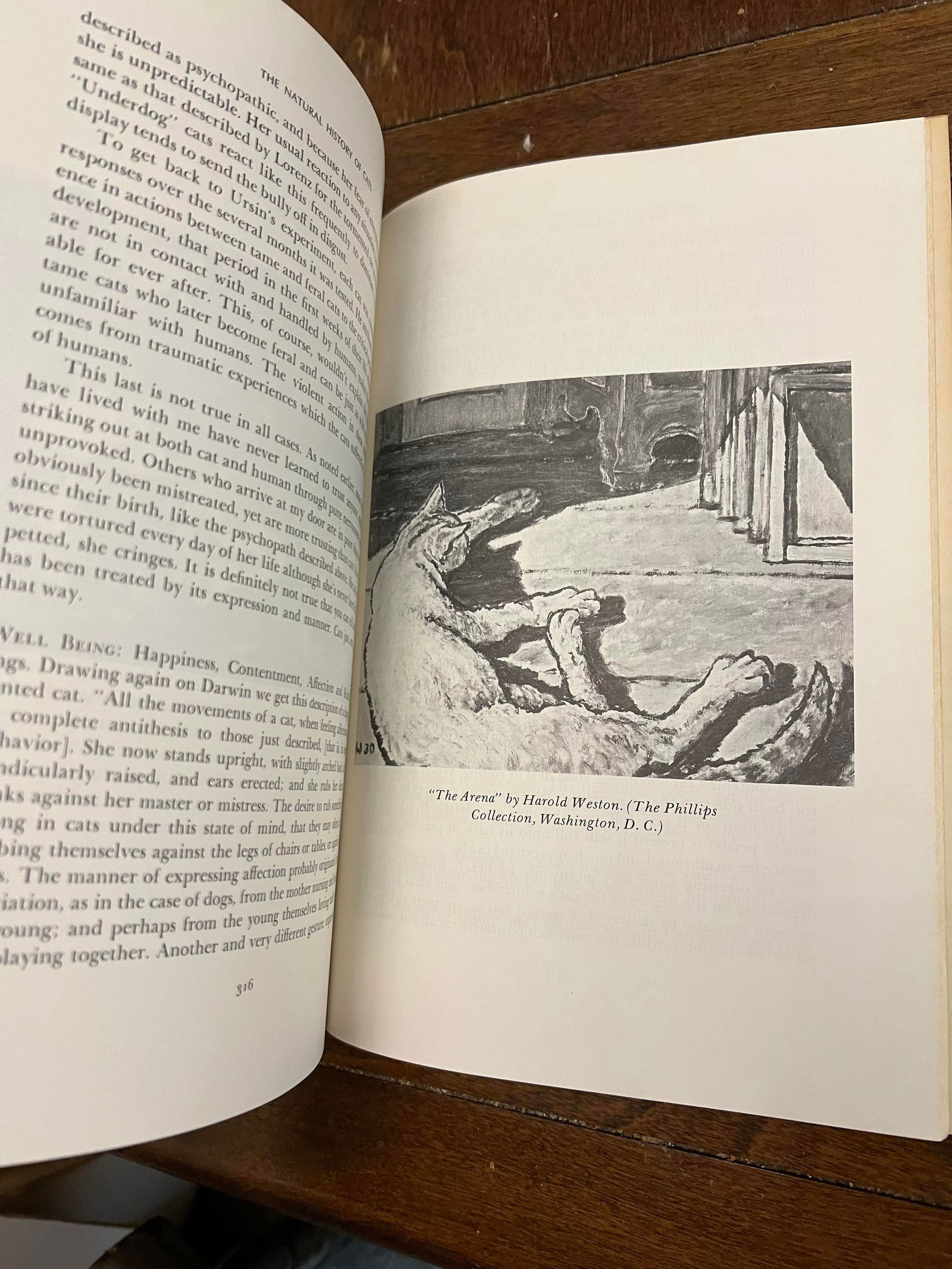 1970s Coffee Table Book "The Natural History of Cats" - 9