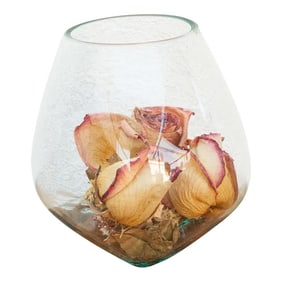 Rustic Modern Glass Bowl on Driftwood