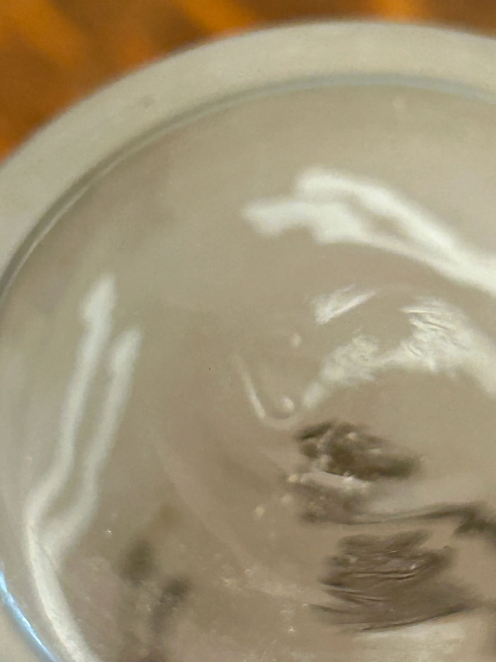 1950's Libbey "Cavalcade" Gold and White Frosted Highballs or Collins Glasses - a Set of 8 - 5