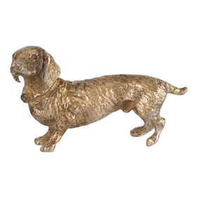 Miniature Vienna Bronze Dachshund Dog