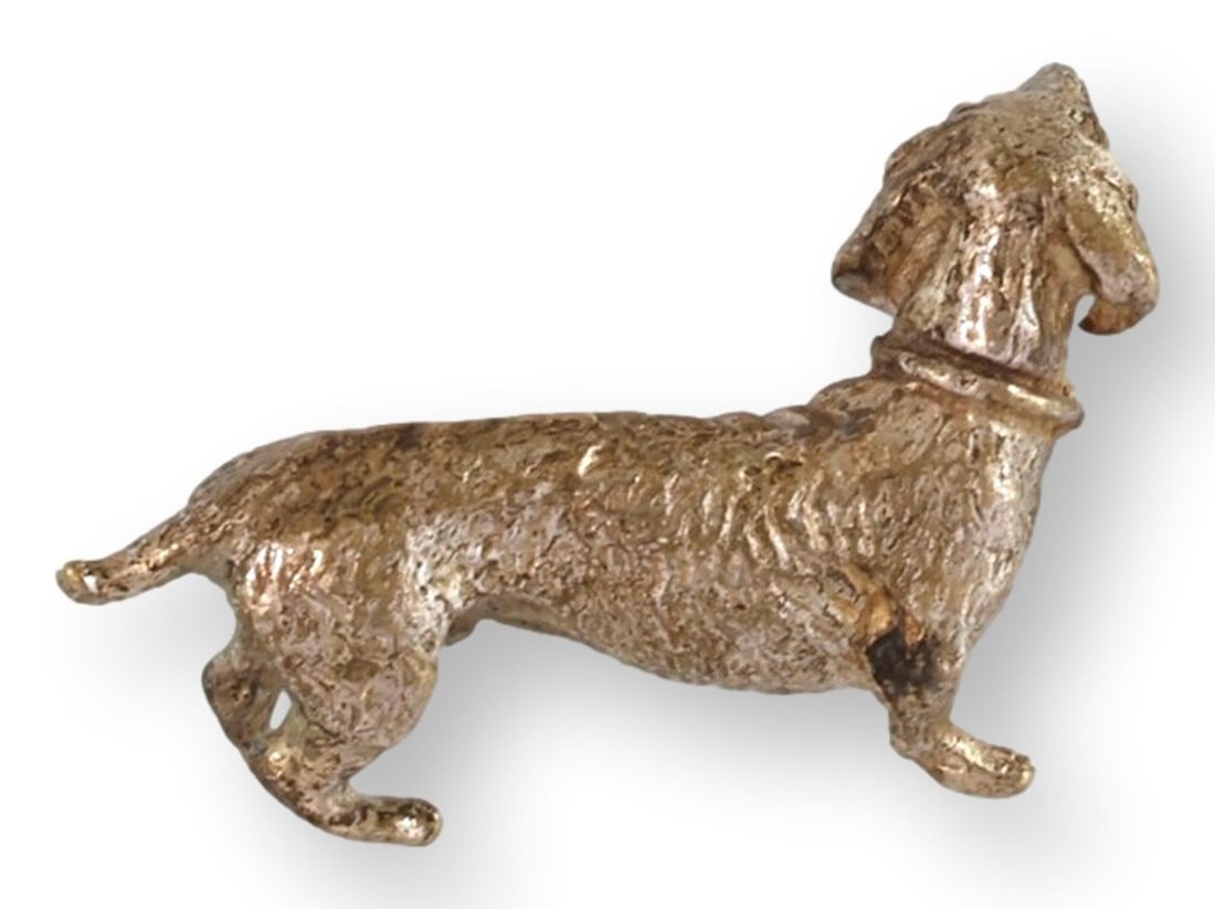 Miniature Vienna Bronze Dachshund Dog - 3