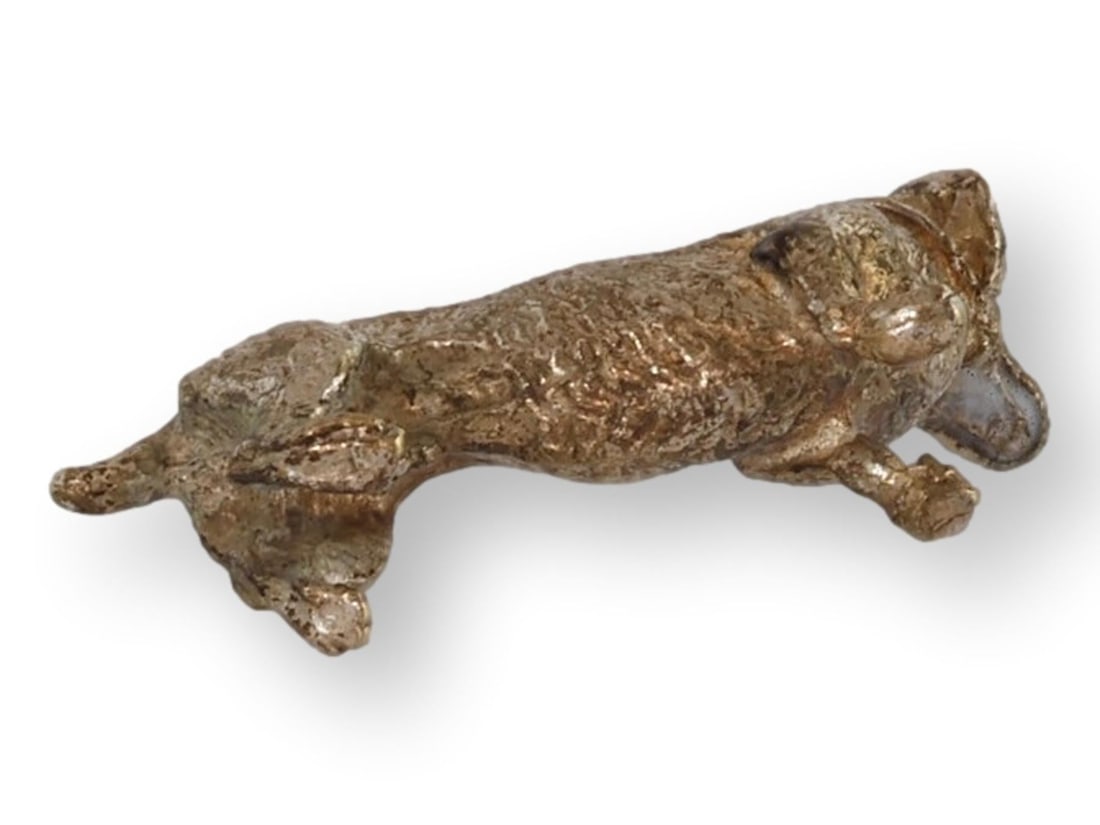 Miniature Vienna Bronze Dachshund Dog - 4