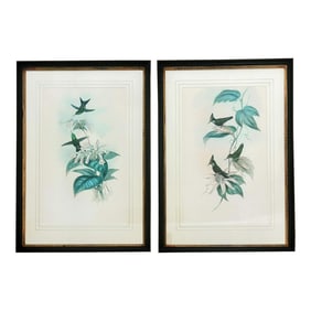 Vintage After J. Gould Hand Colored Hummingbird Lithographs, Framed, a Pair