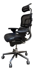 Modern Ergonomic Leather Office Chair Raynor Ergohuman Lem4erg