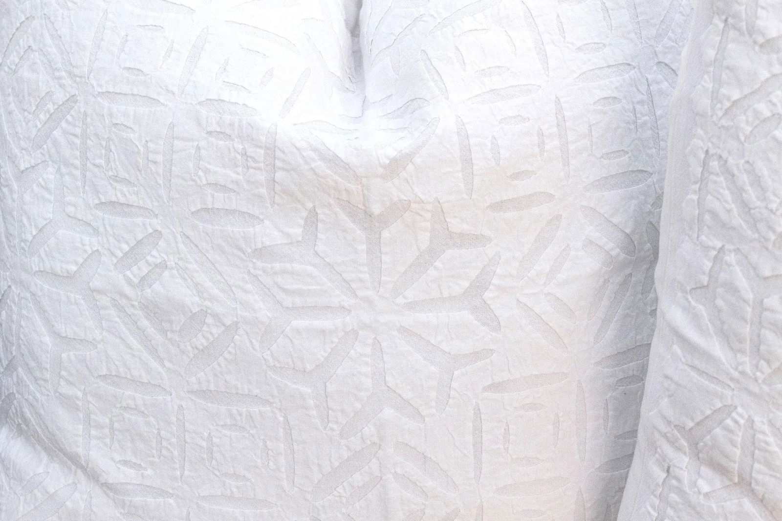 Mogra Mist, Pair of Appliqué Pillow Covers - 4