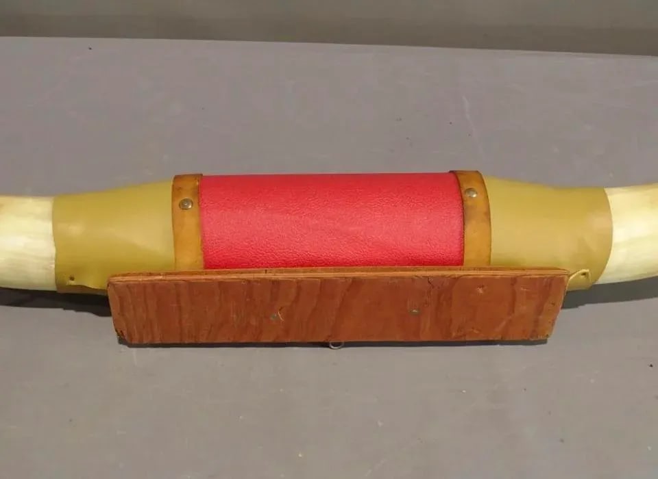 1980s Large Mounted Steer Horns With Red Leather - 4