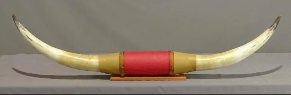 1980s Large Mounted Steer Horns With Red Leather - 5