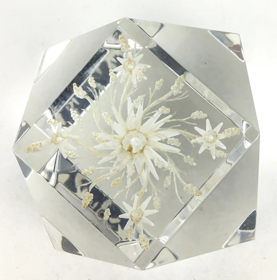 Lucite Inside Carved Table Paperweight Artist Signed - 11