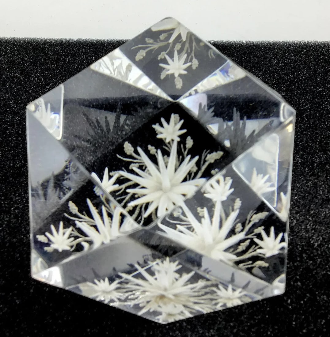 Lucite Inside Carved Table Paperweight Artist Signed - 9