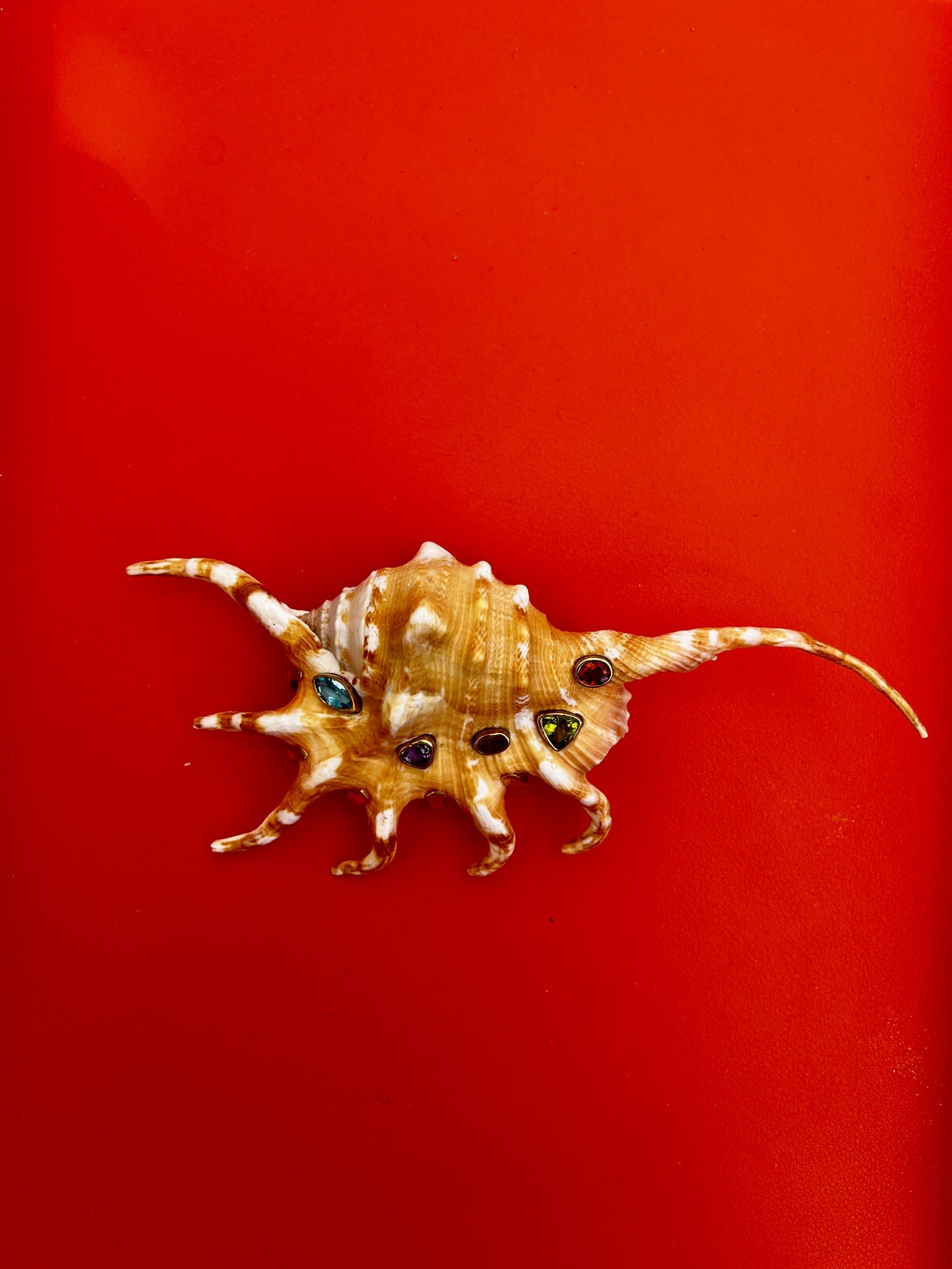 Spider Conch Shell Brooch with Gemstones: Title:Spider Conch Shell Brooch with GemstonesDescription:Spider Conch Brooch set with various brilliant gemstones: Topaz, Garnets, Peridot and Amethyst. Great Accent piece on a belt or waistline, or