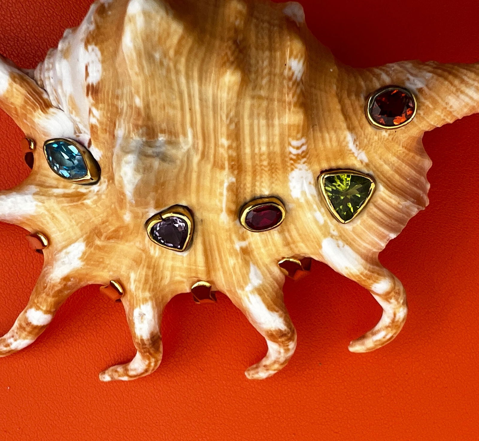 Spider Conch Shell Brooch with Gemstones - 2