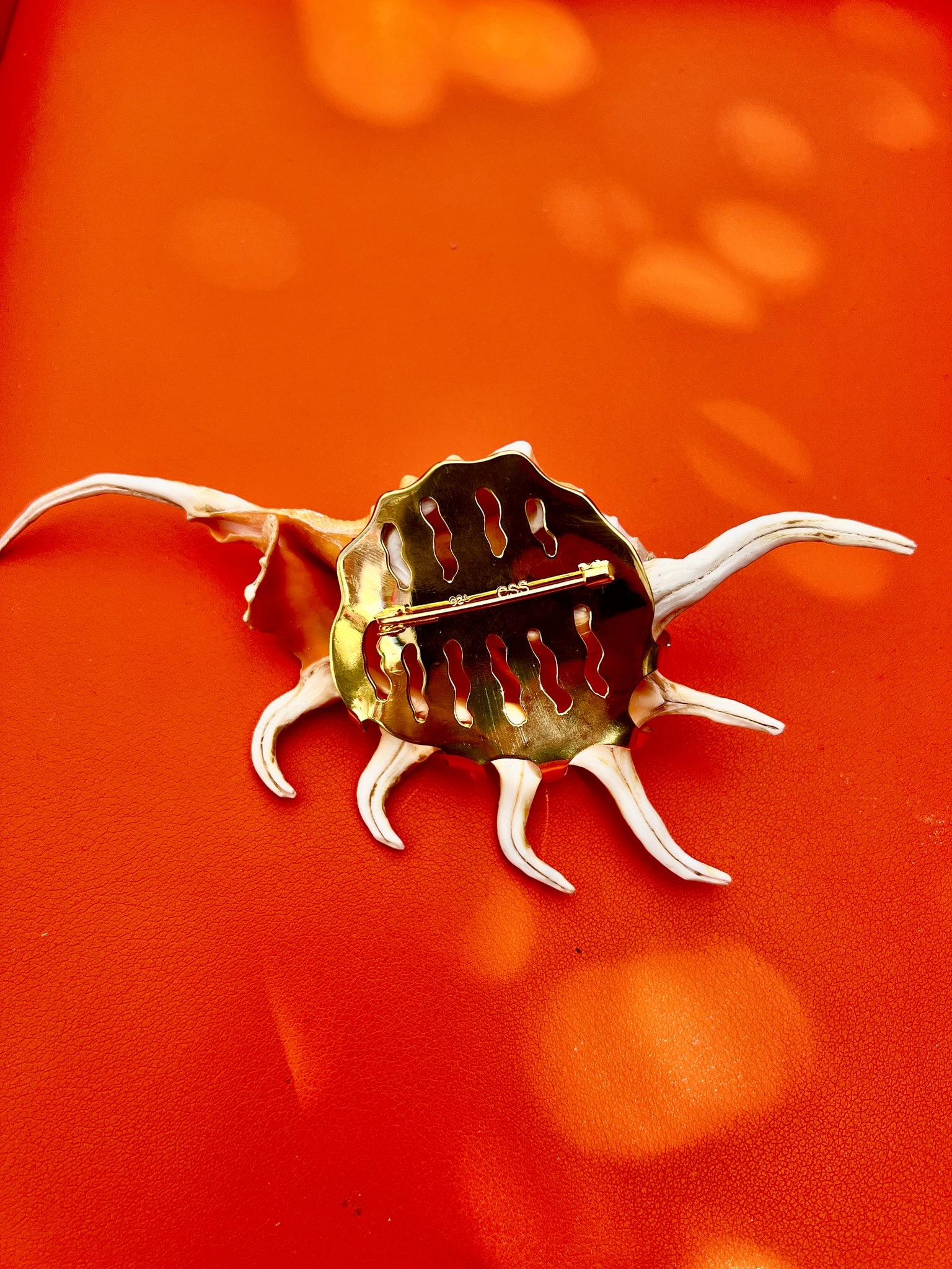 Spider Conch Shell Brooch with Gemstones - 3