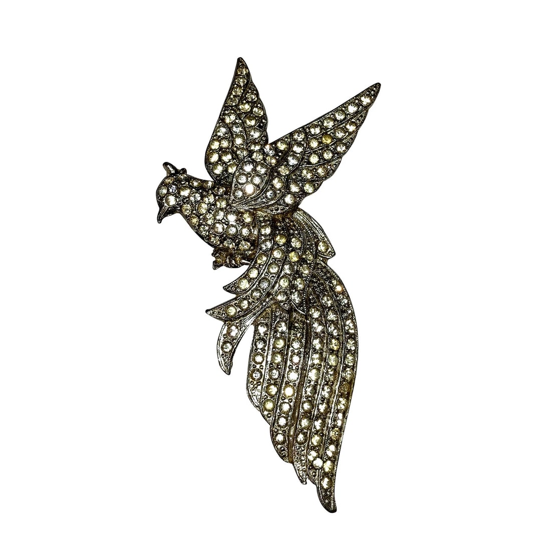 Victorian Massive Pot Metal Paste Bird in Flight Brooch Pin (1 of 5)