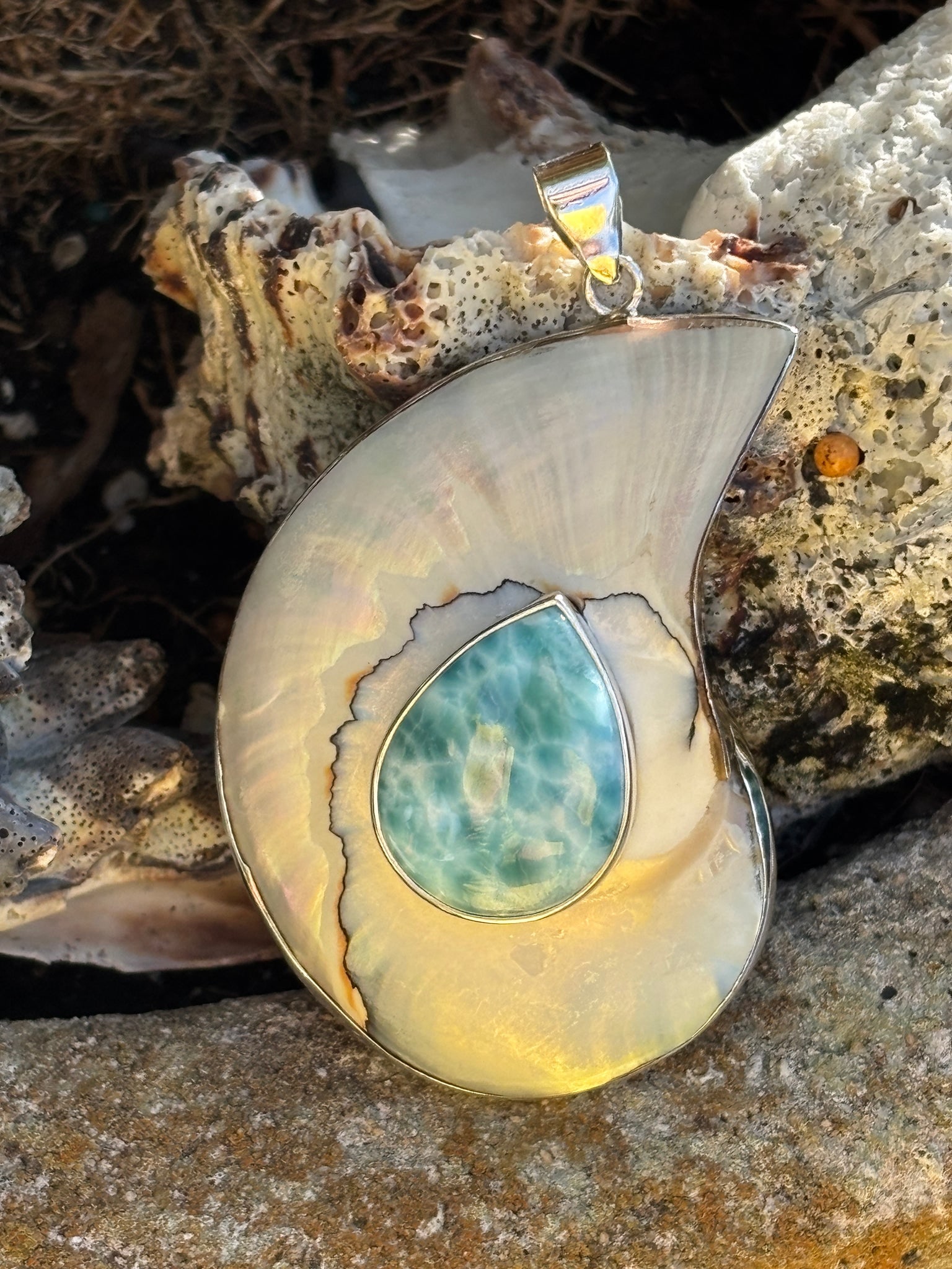 Nautilus Pendant with Larimar (1 of 2)