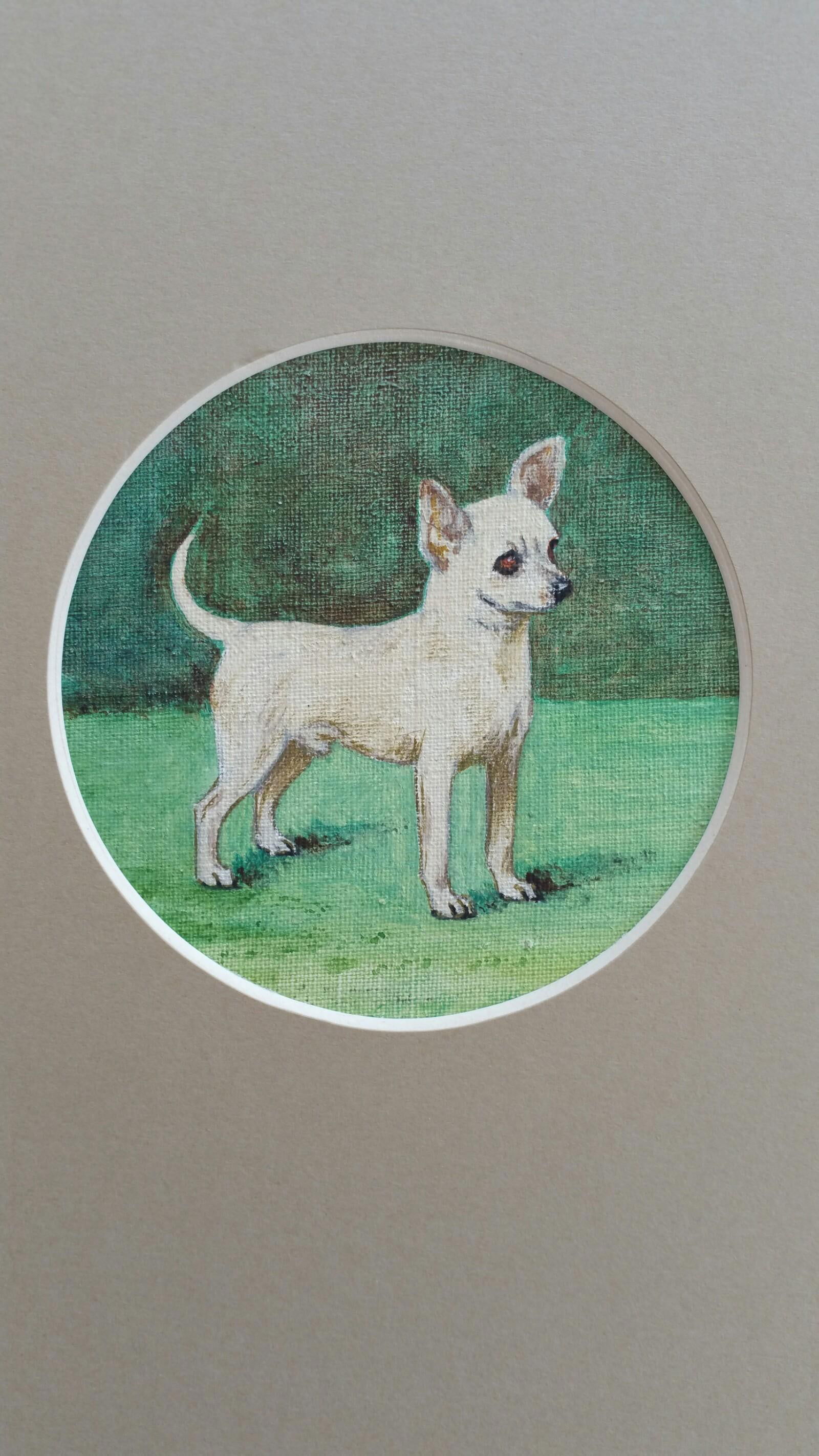 Dorothy Alexandra Johnson; English School Mid 20th Century Oil Painting Chihuahua Dog Painting, c (1 of 6)